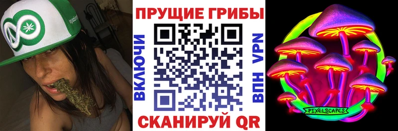 ссылка на мегу зеркало  где купить наркоту  Петрозаводск  Псилоцибиновые грибы Cubensis 