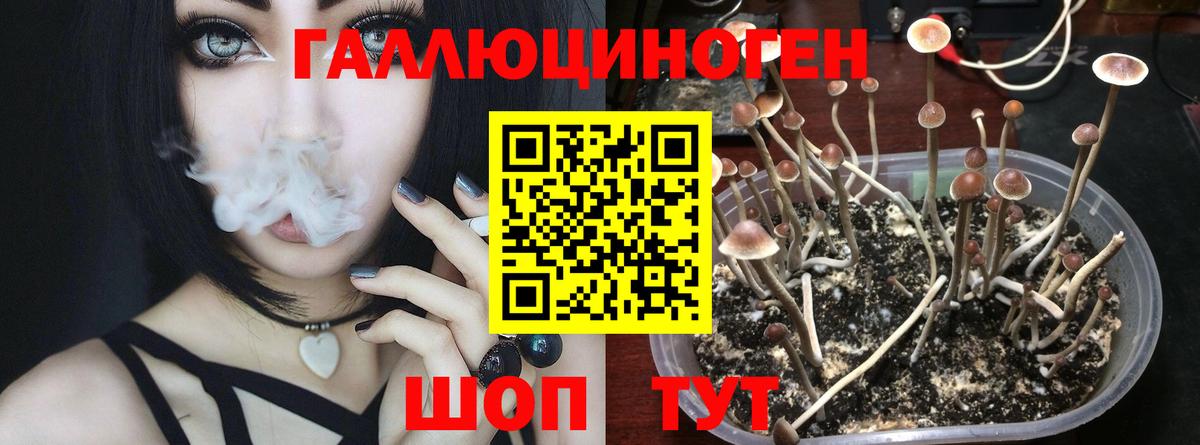 Галлюциногенные грибы ЛСД Петрозаводск